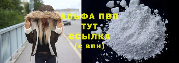 спиды Вязьма