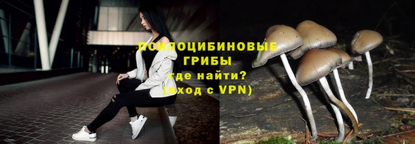 спиды Вязьма