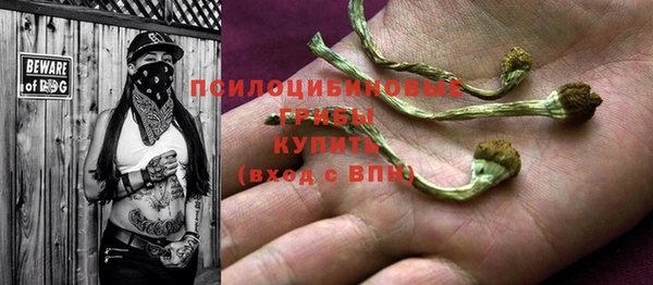 спиды Вязьма