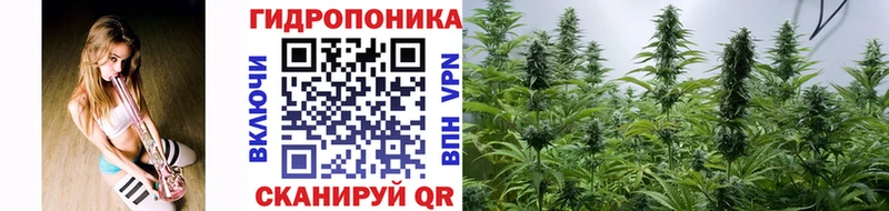 Каннабис Amnesia  Купить закладки  Конаково 